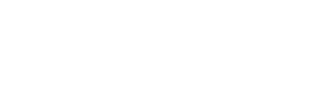 SabiSavvy Logo
